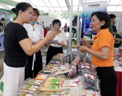 Kết nối cung ứng thực phẩm an toàn tới hệ thống chợ truyền thống